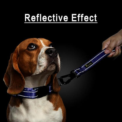 PLUTUS PET Short Dog Leash, Reflective Nylon Padded Handle, Strong Traffic Leash with Carabiner Clip, Perfect for Large or Medium Dogs (10”，Royal Blue)