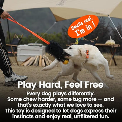 HOWGO Dog Rope,Dog Bungee Chaser 100% Sheepskin,Sheep Smell Tug for All Breeds(Orange, Long Without Ball 2Pack)