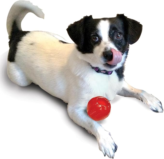 SPOT Play Strong Small Ball - Durable TPR, Treat Hiding, Virtually Indestructible Dog Toy for Aggressive Chewers, Small Dogs & Puppies, 2.5 inch