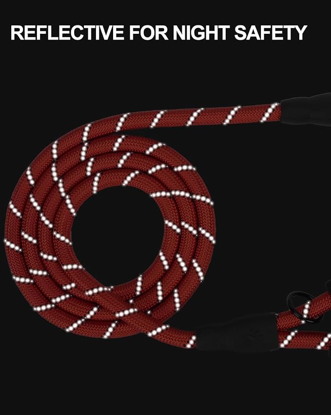 Joytale Dog Leash for Large Dogs, Heavy Duty Nylon Leashes with Comfortable Padded Handle and Highly Reflective Threads, Ideal for Walking and Training, Red, 6'×1/2''
