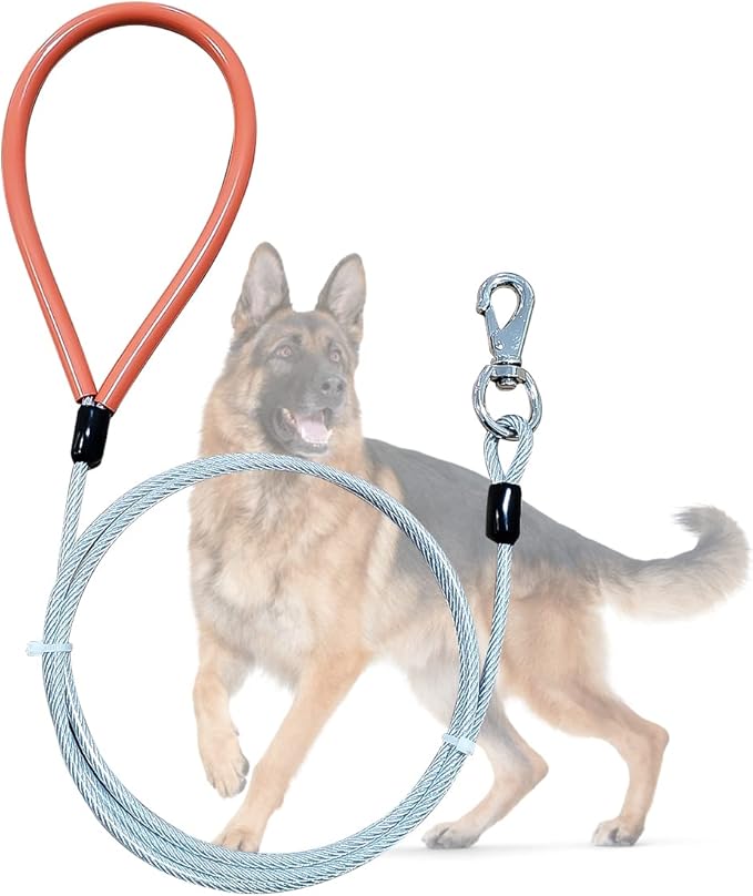 Heavy Duty Dog Leash, Chew Proof Metal Leash for Large Dogs (Up to 250lbs), WireRope Dog Leashes with Soft Silicone Grip (Transparent, 10 FT)