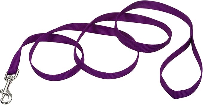 Single-Ply Leash for Dogs by Coastal