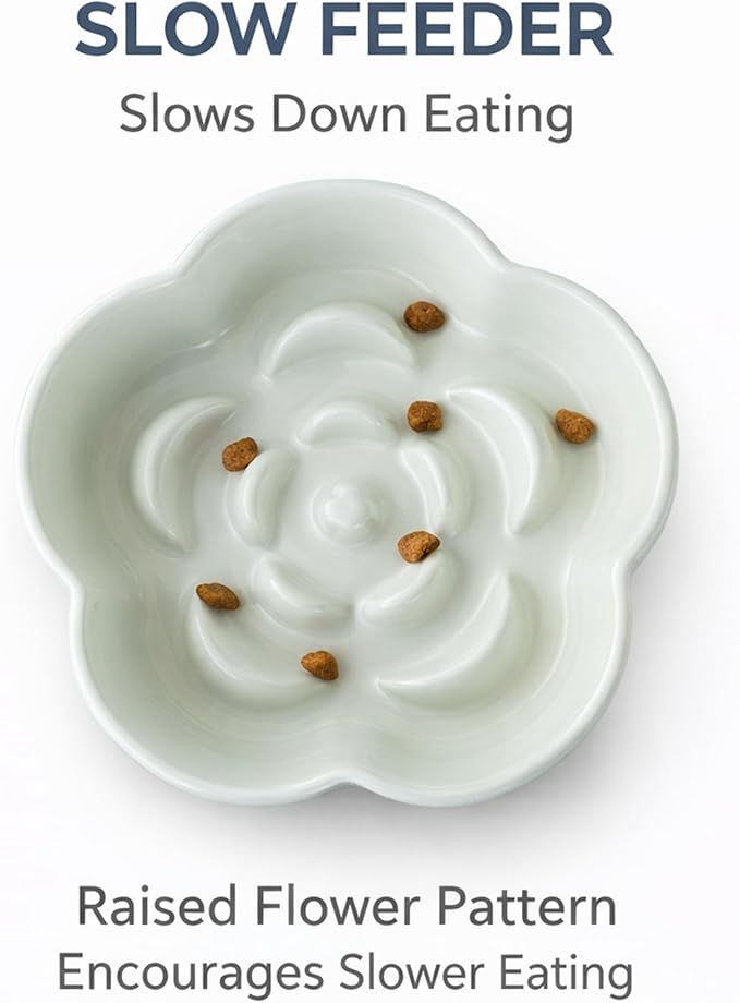 Ceramic Elevated Slow Feeder Cat Bowl, Raised and Gently Tilted Feeding Dish with Maze Design, Whisker-Friendly, Easy to Clean, for Indoor Cats and Small Dogs (Green/Ivory)
