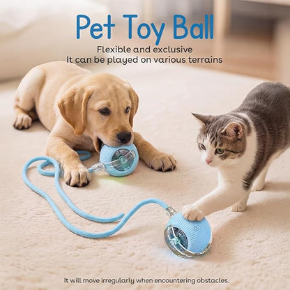 Interactive Cat Toy Ball, Automatic Intercative Cat Toys for Indoor Cats, The 3rd Generation Agile Moving Cat Ball with Elastic Mesh Tail, Toys for Indoor Adult Cats (Blue)