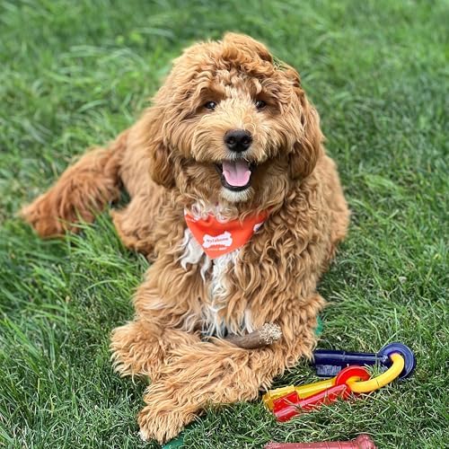 Nylabone Puppy Chew Teething Keys Dog Chew Toy, Bacon Flavor, Medium - Image 2