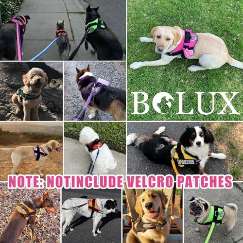 Dog Harness, No-Pull Reflective Dog Vest, Breathable Adjustable Pet Harness with Handle for Outdoor Walking - No More Pulling, Tugging or Choking (Fuchsia, Small (Pack of 1)) - Image 6