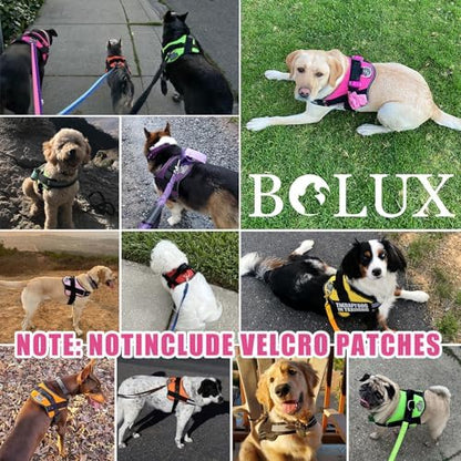 Dog Harness, No-Pull Reflective Dog Vest, Breathable Adjustable Pet Harness with Handle for Outdoor Walking - No More Pulling, Tugging or Choking (Fuchsia, Medium (Pack of 1)) - Image 6