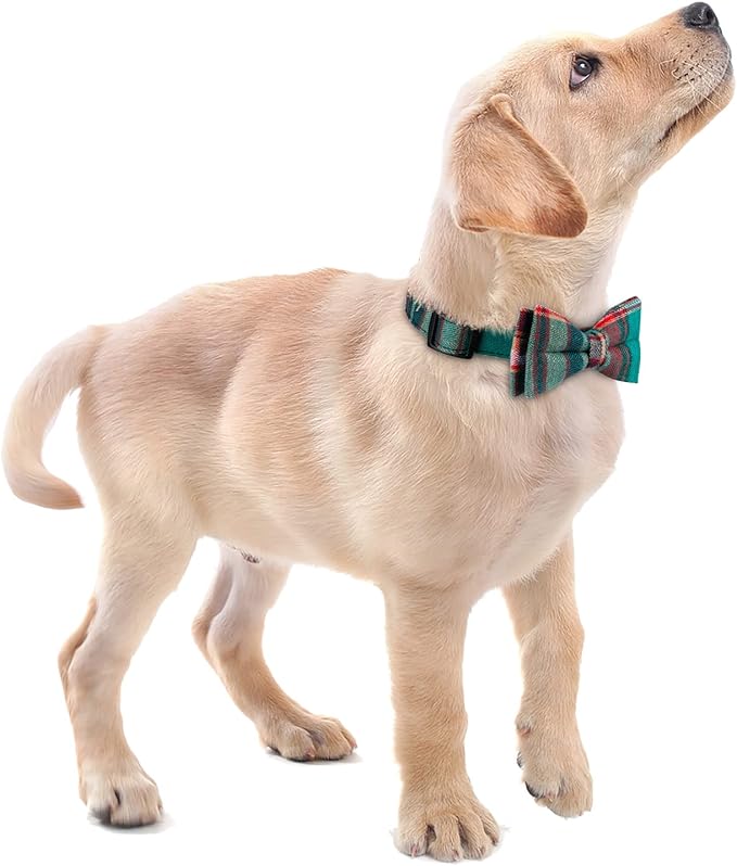 Faleela Cute Soft Girl Christmas Dog Collar with Bow, Bowtie Dog Collar for Boy,Detachable Adjustable Collar for Small Medium Large Pet