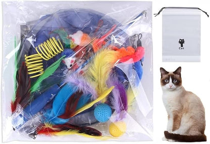 N\C NC LEPOO 14 PCS Cat Toys Kitten Toys Assortments,Variety Catnip Toy Set Including 2 Way Tunnel,Cat Feather Teaser,Catnip Fish,Mice,Colorful Balls and Bells for Cat,Puppy,Kitty