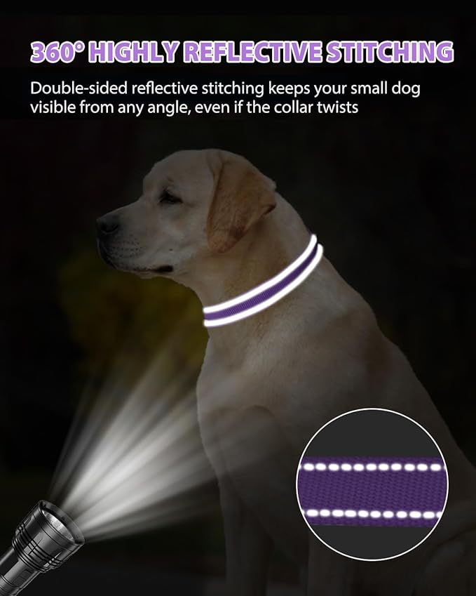 Joytale Dog Collars for Medium Dogs, Comfortable Double-Sided Reflective Nylon Collar for Night Safety, Adjustable Quick-Release for Active Pets, Purple, M (1" Width)