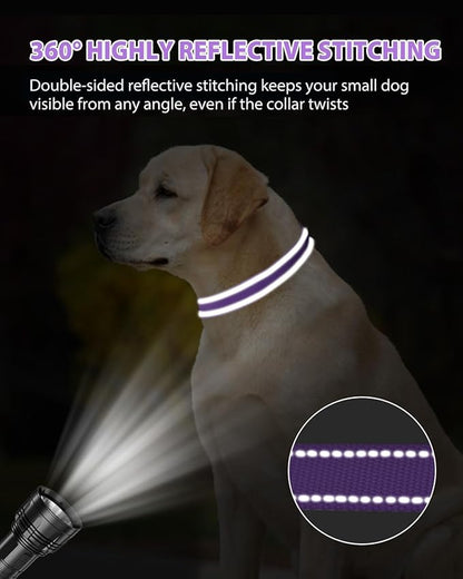 Joytale Dog Collars for Medium Dogs, Comfortable Double-Sided Reflective Nylon Collar for Night Safety, Adjustable Quick-Release for Active Pets, Purple, M (1" Width)