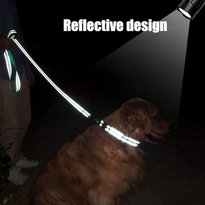 FunTags 6FT Reflective Dog Leash with Soft Padded Handle for Training,Walking Lead for Large, Medium,Turquoise