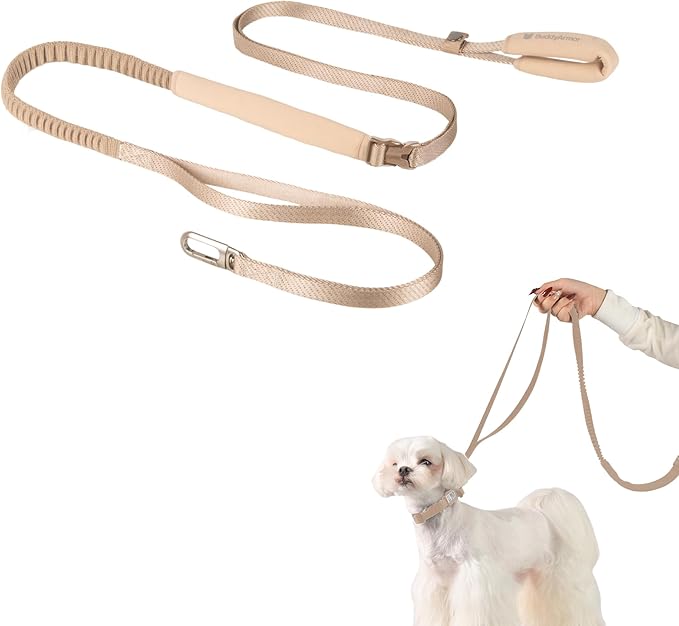 Hands Free Dog Leash Adjustable Versatile Crossbody Waist Dog Leash Reflective Comfortable Padded Handles Shock Absorbing Walking Lead for Small Medium Large Dogs (Super Reflect-Earth, S)