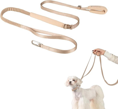 Hands Free Dog Leash Adjustable Versatile Crossbody Waist Dog Leash Reflective Comfortable Padded Handles Shock Absorbing Walking Lead for Small Medium Large Dogs (Super Reflect-Earth, S)