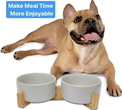 Ceramic Cat and Small Dog Bowl Set – Modern Indoor Small Size Pet Food and Water Bowls with Wood Stand – Non Slip Puppy Sized Feeding Station with Double Dishes (Gray)