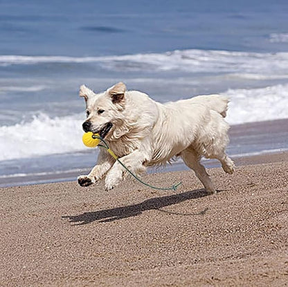 2 Pack Ball with Rope Dog Toy,Fling Dura Foam Toy,Dog Water Float Ball Rraining Boall on Rope (1 * 7cm/2.8"+1 * 9cm/3.5")