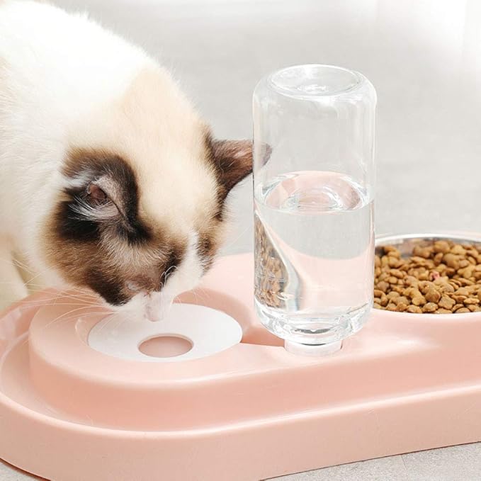 Luck Dawn Double Dog Cat Bowls Water and Food Bowl Set，Detachable Stainless Steel Bowl Automatic Water Dispenser Bottle Pet Feeder for Small or Medium Size Dogs Cats Puppy Kitten Rabbit