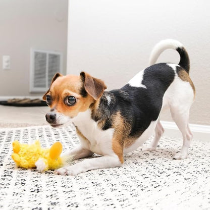 KONG Dr. Noy's Platy Duck Plush Dog Toy [Set of 3]