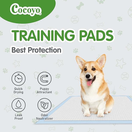 COCOYO Best Value Training Pads 100 Count 13“ by 17.7”| Dog Pee Pads | Super Absorbent Puppy Pads,Blue