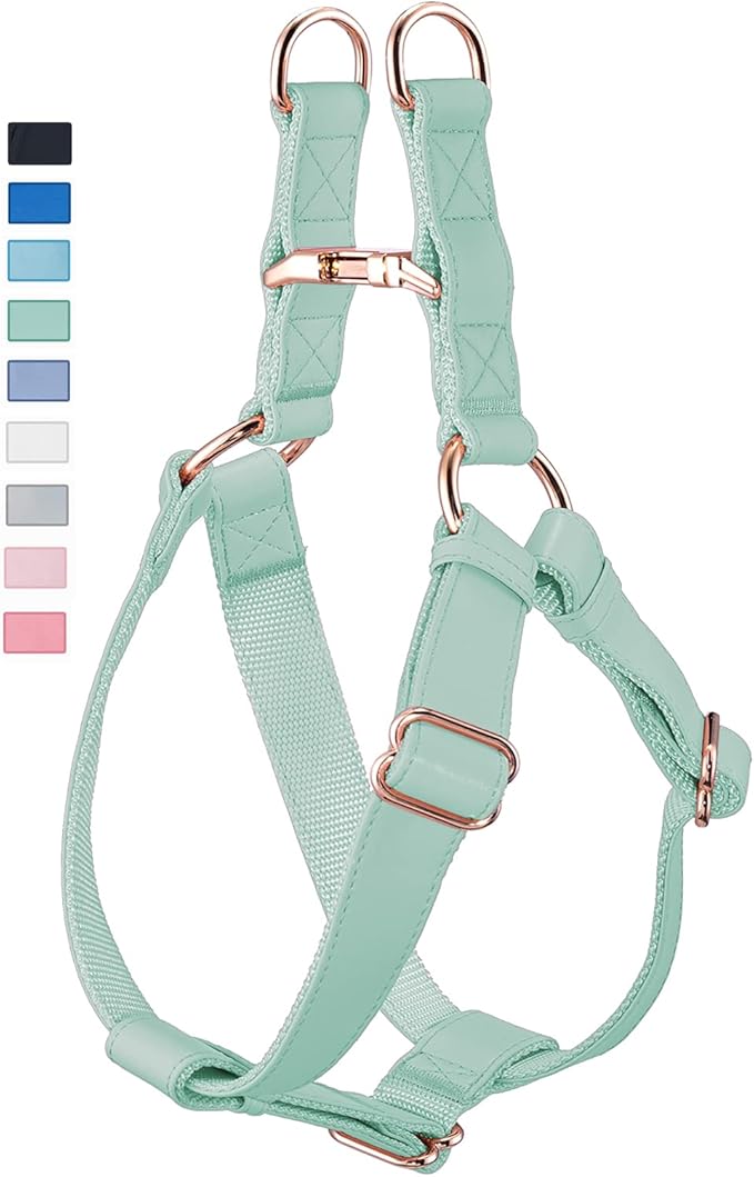 Soft Leather No Pull Dog Harness - Adjustable Step in Dog Harness with Rose Gold Heavy Duty Metal Buckle, Freedom Nylon Dog Halter Vests for Small Medium Large Dogs Easy Walking Training (Green,XS)