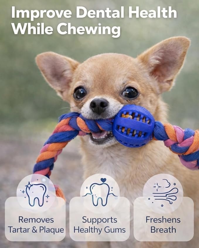 Medium and Small Puppy Toys - Puppy Teething Toys, Chew Toys for Dogs, Small Dog Rope Toys, Treat Dispensing Dog Toys for Puppy Training and Dental Health, Ideal for Dog Owners