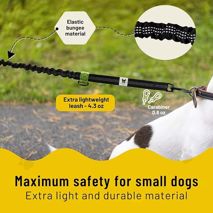 Hundefreund Hands-Free Dog Leash Replacement Bungee (43–63”) – Extension for Small Dogs – Shock-Absorbing with Dual Handles & Reflective Stitching (Green)