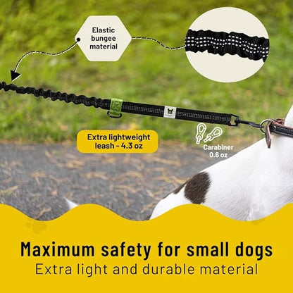 Hundefreund Hands-Free Dog Leash Replacement Bungee (43–63”) – Extension for Small Dogs – Shock-Absorbing with Dual Handles & Reflective Stitching (Green)
