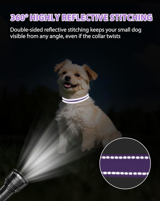 Joytale Small Dog Collar, Durable Double-Sided Reflective Nylon Collar for Night Safety, Adjustable Quick-Release for Active Breeds, Purple, S (3/4" Width)