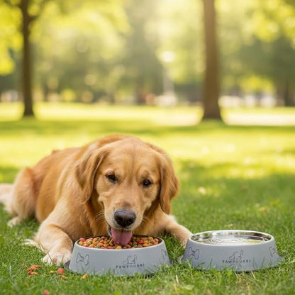 2 Pack Stainless Steel Dog Bowls – 16 fl oz Anti-Skid Food & Water Bowls for Small Dogs, Puppies & Cats|Dog Food & Water Bowl|Dog Feeding Bowl (Grey)