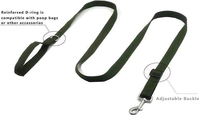 TAIAN Adjustable Nylon Dog Leash, 6FT/10 FT Long Dog Leashes for Small Medium Large Dogs (1 in x 6 ft, Green)