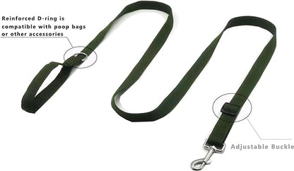 TAIAN Adjustable Nylon Dog Leash, 6FT/10 FT Long Dog Leashes for Small Medium Large Dogs (1 in x 6 ft, Green)