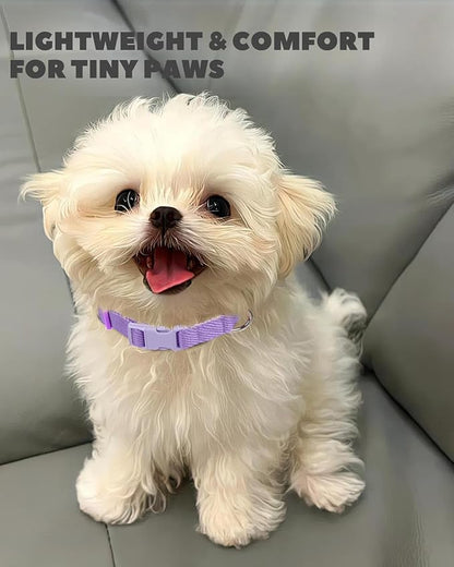 Dynmeow Soft and Breathable Cotton Dog Collar, Durable Adjustable Female Girl Pet Collar with Quick-Release Buckle, Lightweight for Sensitive Skin for Puppies and Extra-Small Dogs, Purple, Xs