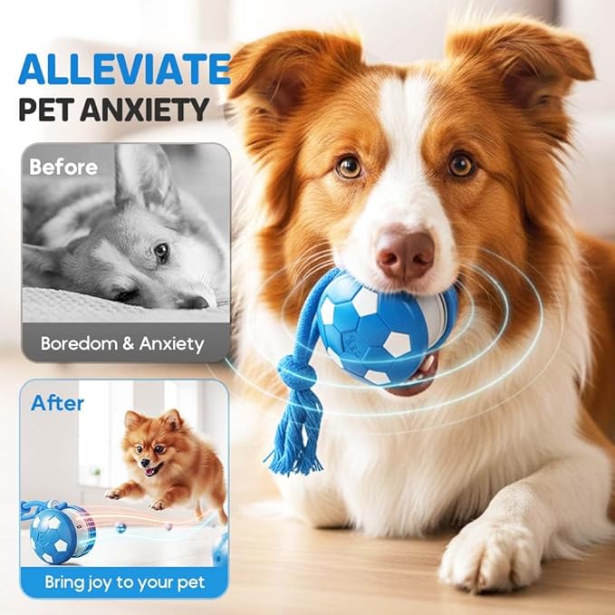 Interactive Dog Toys, 2026 Upgraded Motion-Activated Electric Automatic Rolling Ball with Rope, Random Path Movement, Rechargeable Boredom Relief Toy for Small Medium Large Dogs (Blue)