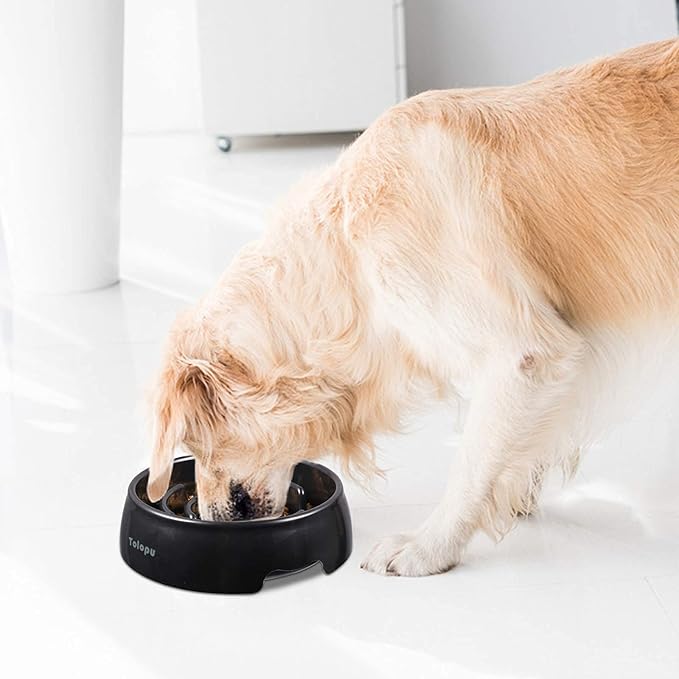 Large Slow Feeder Dog Bowls,Hold 8 Cups,Stop Bloat Bowl Anti-Choking &Anti-Gulping & Fun Feeding Bowl (Large, Black)
