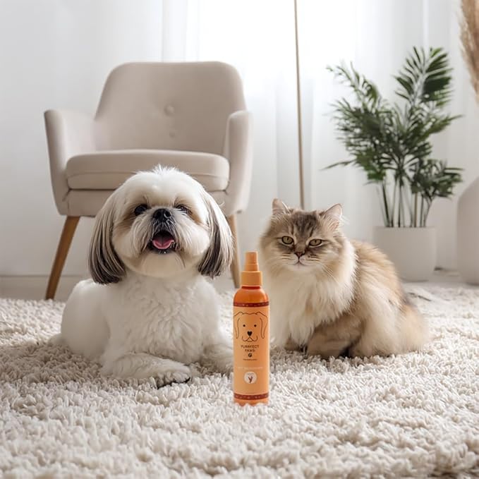 Pet Odor Neutralizing Air and Fabric Spray — Pet-Safe Deodorizer with Zinc Salt — Vegan and Cruelty-Free — Sweet Honey Almond Scent – Made in USA by Purrfect Paws