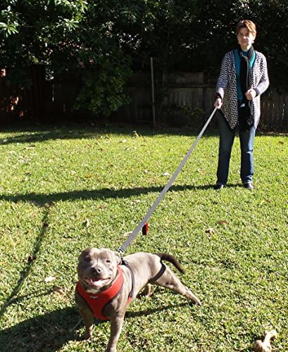 Primal Pet Gear Dog Leash 6ft Long,Traffic Padded Two Handle,Heavy Duty,Reflective Double Handles Lead for Control Safety Training,Leashes for Large Dogs or Medium Dogs,Dual Handles Leads(Black) - Image 5