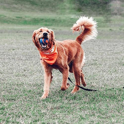Chuckit! Ultra Squeaker Ball Dog Fetch Toy, Large 3in, for Big Breeds - Image 2