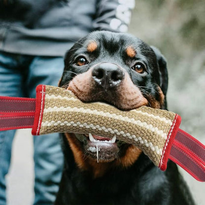 Storystore Dog Tug Toy Dog Training Bite Pillow Jute Bite Toy - Best for Tug of War, Puppy Training Interactive Play - Interactive Toys for Small and Medium Dogs