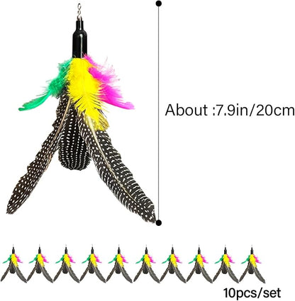 AcceLeah Cat Toy Replacement Feathers Cat Toy Wand Refills, Natural Bird Feathers Refill, Cat Feather Toy Replacement for Cat Wand (10Pcs (Taupe))
