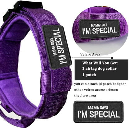 Xqpetlihai Tactical Dog Collar with Airtag Holder Waterproof Airtag Dog Collar with Control Handle and Metal Buckle(DeepPurple，L