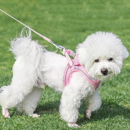 AIITLE Step in Dog Harness and Leash Set - No Pull Escape Proof Vest Harnesses with Soft Mesh and Reflective Bands, Adjustable Pet Outdoor Harnesses for Small and Medium Dogs Pure Pink M