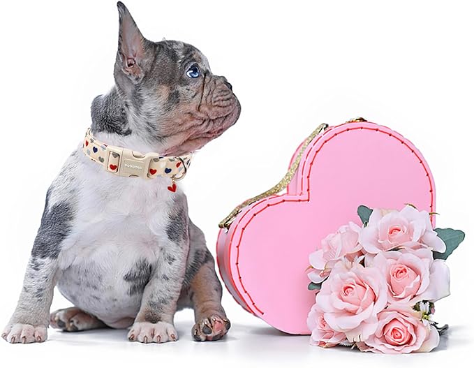 DOGWONG Valentine's Dog Collar-Hearts Print Dog Collar for Large Cute Dog Collars Spring Female Male Pet Gift Adjustable Heavy-Duty Soft Collar，L