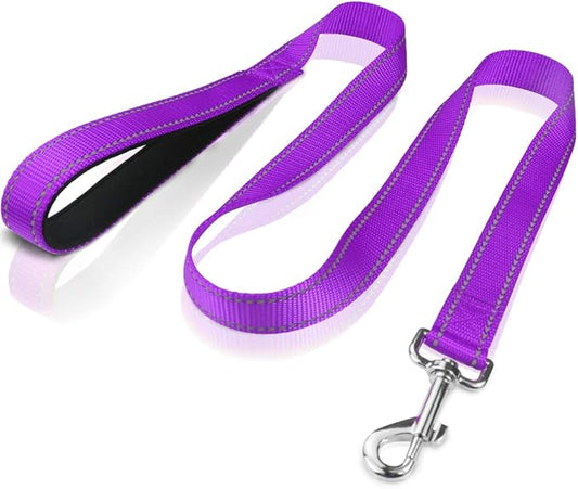 FunTags 4FT Reflective Dog Leash with Soft Padded Handle for Training,Walking Lead for Medium & Small Dogs,3/4 Inch Wide,Purple