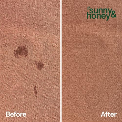Sunny & Honey Turbo Pet Stain and Odor Remover for Carpets, 32fl oz Mint - Image 7