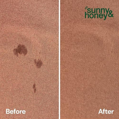 Sunny & Honey Turbo Pet Stain and Odor Remover for Carpets, 32fl oz Mint - Image 7