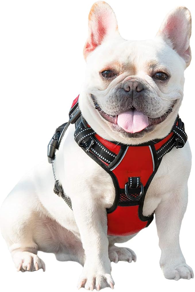 PHOEPET No Pull Dog Harnesses for Small Dogs Reflective Adjustable Front Clip Vest with Handle 2 Metal Rings 3 Buckles [Easy to Put on & Take Off](S, Red)
