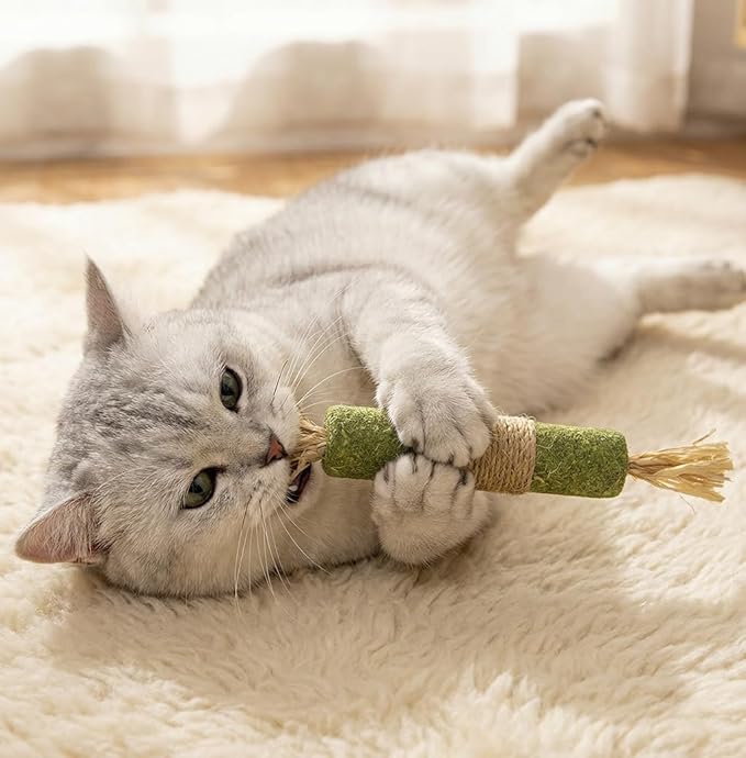 Cat Toys for Indoor Cats 12 Pack, Interactive Kitten Toy Set with Retractable Wand, Feather Refill, Door Hanging Toy & Silvervine Sticks, Self Play Cat Toys for Bored Cats Exercise & Hunting Instinct