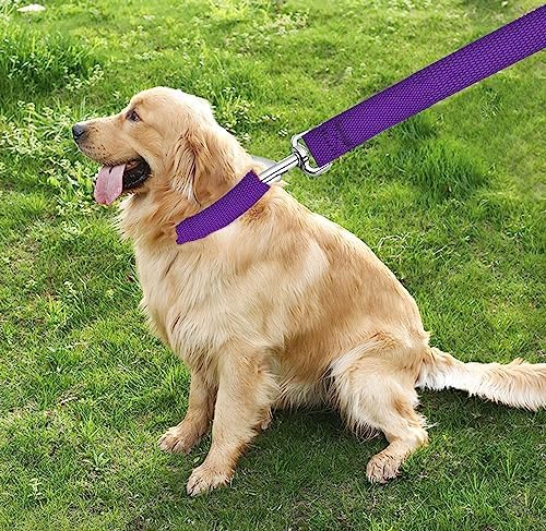 TAIAN 4 FT Strong Dog Leash, Nylon Dog Leashes for Small Medium Large Dogs - Image 7