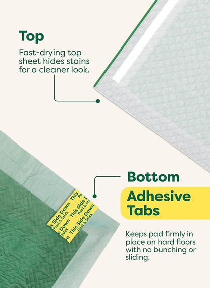 Earth Rated Puppy Pads, Max Absorbency Pee Pads for Dogs, Absorbs 2X Faster & 2X More, Leak Prevention, Potty Training, Fragrance-Free, Unscented, Regular [L], 22” x 23”, 75 Count