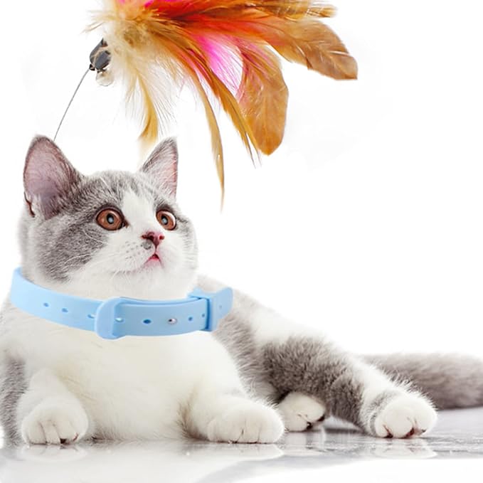 Interactive Cat Toy, Cat Teaser Wand, Silicone Collar, Feather Toys for Kitten Play, Blue